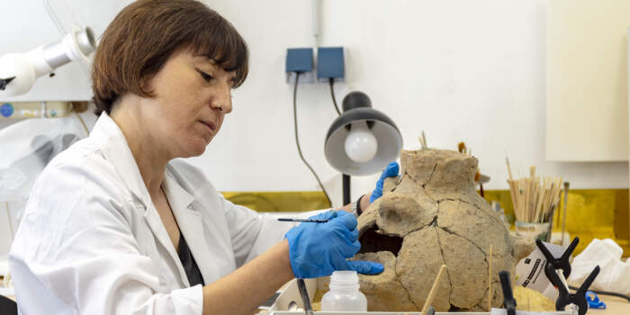 Erfurts archäologische Schätze werden ab Februar 2025 präsentiert