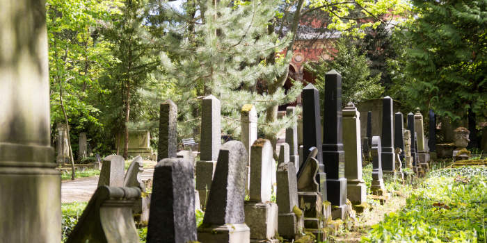 Kulturdenkmal und „guter Ort“: Führung auf dem Neuen Jüdischen Friedhof am 24. März