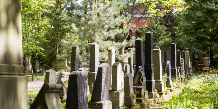 alte Grabsteine in zwei Reihen, umgeben von viel Grün
