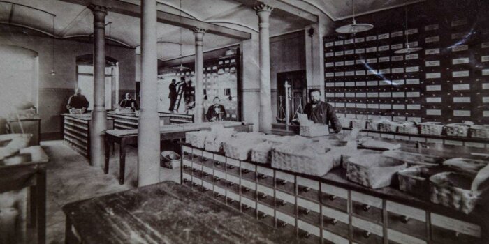 historische Aufnahme eines Blumensamenlagers, einem großen Raum mit verschiedenen Regalen und Fächern