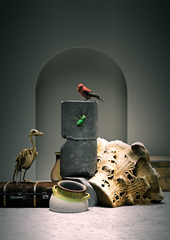 Bildkomposition verschiedener musealer Exponate, darunter ein Vogelskelett und ein Krug 