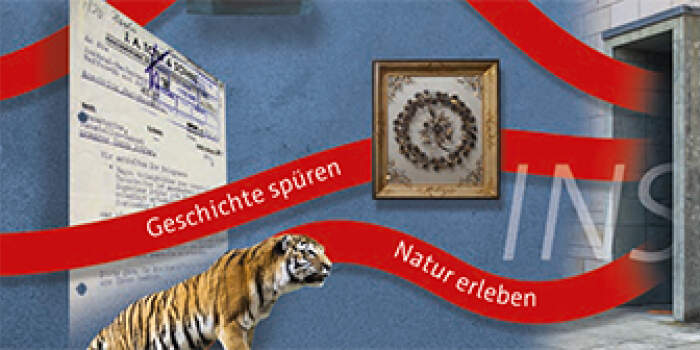 Ab ins Museum! Neues Sonderausstellungsheft der Erfurter Museen erschienen