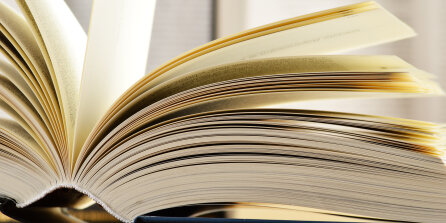 Interner Verweis: Übersicht aller Sonderausstellungen