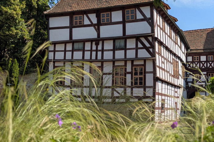 Historisches Fachwerkhaus umrandet von Grün