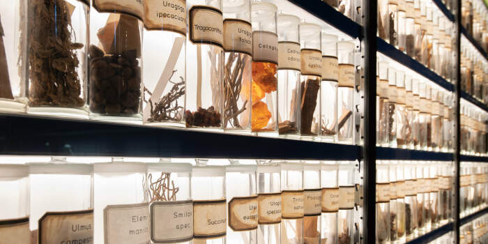 „Mittagspause“ und Kuratorenführungen im Stadtmuseum