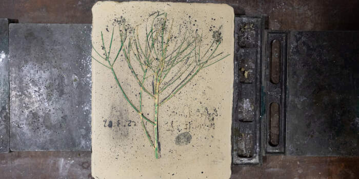 Interner Verweis: Erfurt feiert den „Tag der Druckkunst“ mit zahlreichen Veranstaltungen