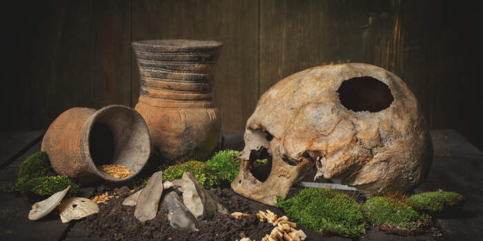 Interner Verweis: Kuratorenführung durch die Ausstellung „Nabel der Welt. Erfurts archäologische Schätze“