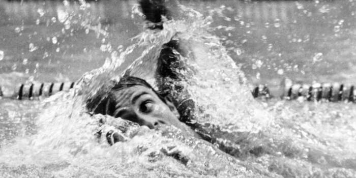 Vortrag zur Sportstadt Erfurt