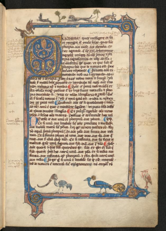 Malerisch gestaltetet Buchseite einer historischen Sammelhandschrift in Baultönen mit Tieren