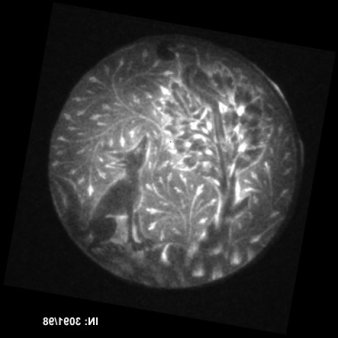 ein Röntgenbild einer Metallscheibe, auf der ein Fuchs, ein Baum und ein Rabe abgebildet sind