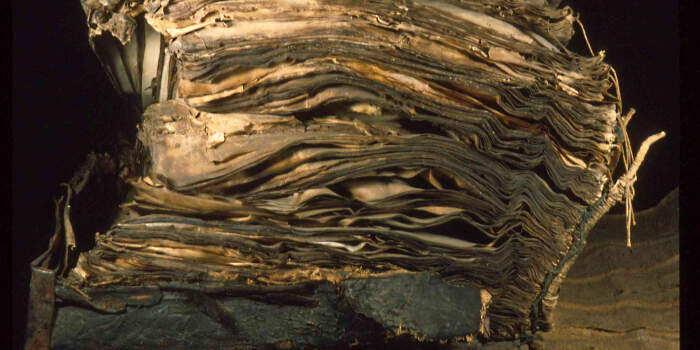 Die Restaurierung der Erfurter Riesen-Bibel