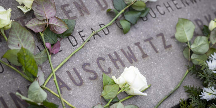 27. Januar 2026: 81 Jahre nach der Befreiung von Auschwitz – Tag des Gedenkens an die Opfer des Nationalsozialismus