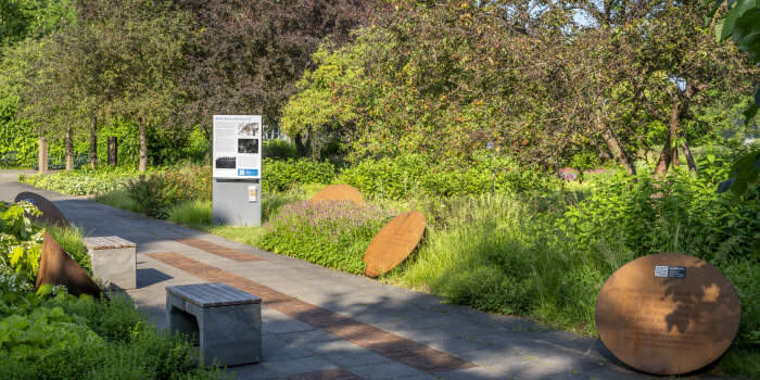 Bildungsangebot zu den nationalsozialistischen Bücherverbrennungen und ihrer Bedeutung für die Zerstörung der Demokratie